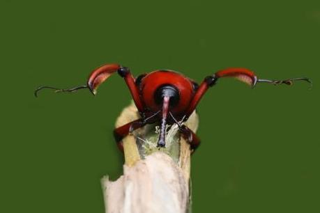 Khai mạc Triển lãm ảnh đa dạng sinh học Việt Nam – Đài Loan (Trung Quốc)