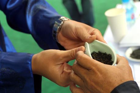 Khai mạc cuộc thi Tea Masters Cup Việt Nam 2017