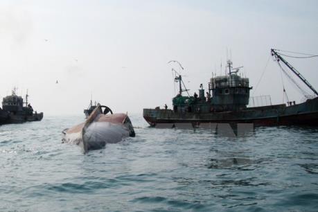 Cứu sống 3 ngư dân gặp nạn do tàu bị chìm