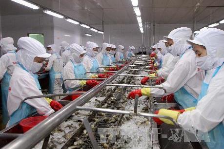 Kim ngạch xuất khẩu thuỷ sản hướng tới mục tiêu 8,5 tỷ USD trong năm 2018