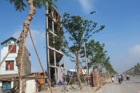 Hà Nội đưa thời gian xử lý 132 trường hợp nhà siêu mỏng siêu méo