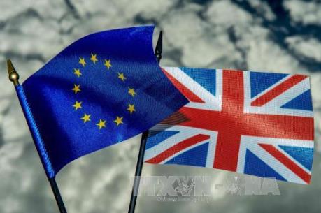 Vấn đề Brexit: Ngày càng nhiều người Anh hoài nghi cách đàm phán của chính phủ