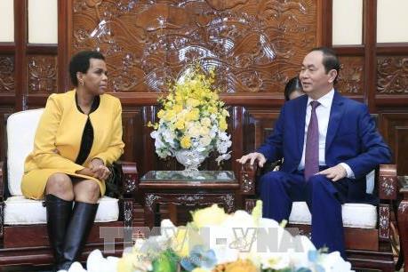Chủ tịch nước Trần Đại Quang tiếp Đại sứ Nam Phi chào kết thúc nhiệm kỳ