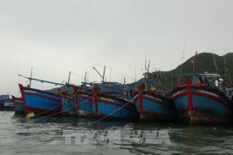 Cần nạo vét thông luồng ra vào khu neo đậu tránh trú bão sông Tắc - Hòn Rớ