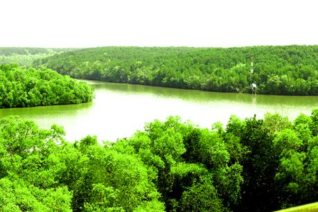 Bến Tre gia hạn thêm một năm đối với dự án điểm du lịch sinh thái Phú Bình