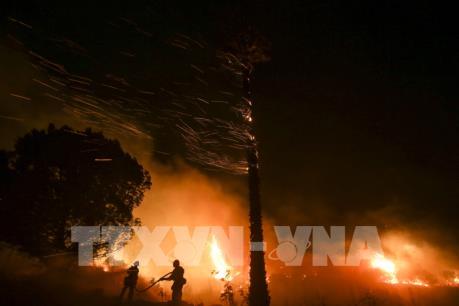Cháy rừng tại Nam California, Mỹ tiếp tục diễn biễn phức tạp