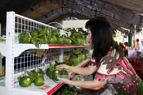 Khai mạc Hội nghị Kết nối cung – cầu hàng hoá 2017 tại Tp. Hồ Chí Minh