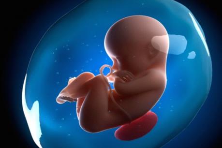 Dinh dưỡng vàng cho những năm tháng đầu đời của bé