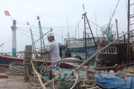 Đầu tư gần 10 tỷ đồng để nạo vét khu neo đậu tránh trú bão tại cảng cá Lạch Hới