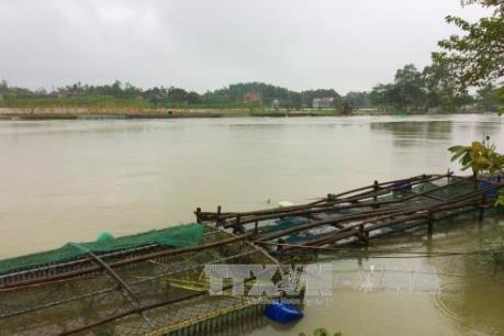 Thừa Thiên - Huế đầu tư gần 12.000 tỷ đồng cho quy hoạch thủy lợi