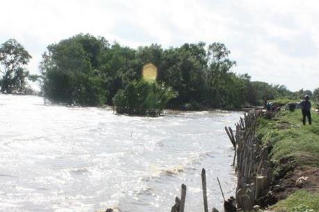 Tạo ra bản sắc kiến trúc cho vùng đô thị sông nước Đồng bằng sông Cửu Long