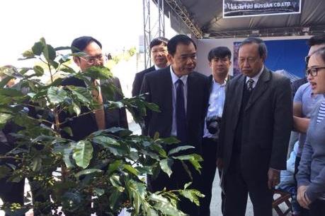 Thời kỳ phát triển mới của ngành cà phê Việt Nam