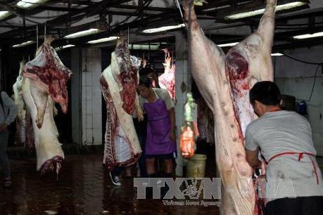 Phối hợp truy xuất nguồn gốc mặt hàng thịt lợn