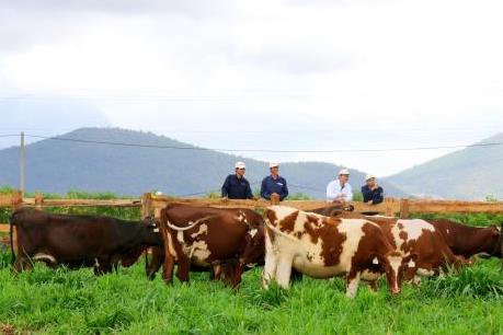 Vinamilk: Hành trình đến với thành công