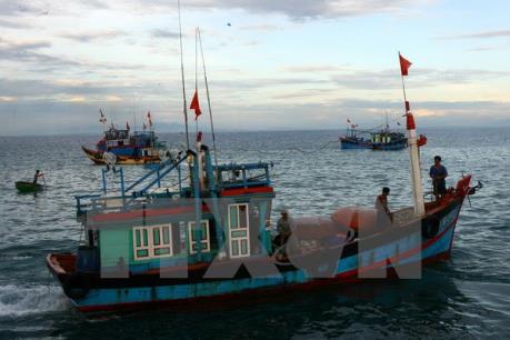 Đưa 6 ngư dân gặp nạn trên biển vào bờ an toàn