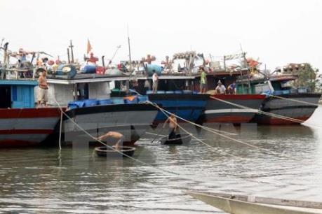 Bà Rịa-Vũng Tàu cấm tàu ra khơi phòng bão Tembin