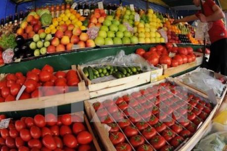 Nhận diện các cửa hàng kinh doanh trái cây an toàn tại Hà Nội