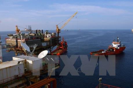 Chính phủ sẽ ban hành Quy chế Quản lý tài chính Tập đoàn Dầu khí Việt Nam