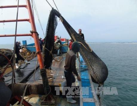 Triển khai các giải pháp cấp bách khắc phục thẻ vàng IUU đối với khai thác hải sản