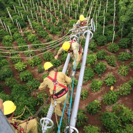 Phê duyệt chủ trương đầu tư hai dự án điện