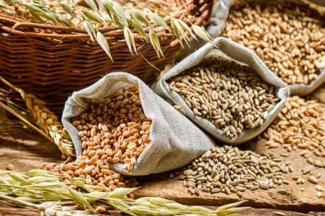 Điểm lại thị trường nông sản Mỹ tuần qua