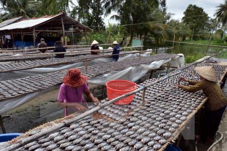 Làng biển Cà Mau vào mùa khô Tết