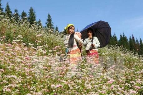 Gỡ khó để ngành du lịch thực sự “cất cánh”