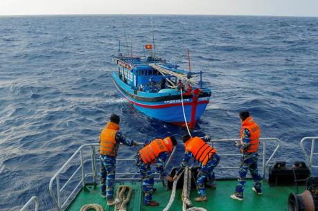 Cứu thành công 6 thuyền viên của tàu cá Khánh Hòa bị chìm trên vùng biển Ninh Thuận