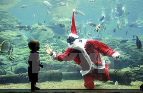 Khám phá quê hương của Ông già Tuyết