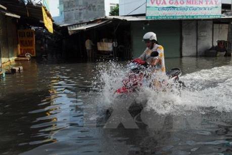 Tp. Hồ Chí Minh: Triều cường lên cao, đường phố thành “sông” với dòng nước cuồn cuộn