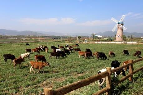 Vinamilk 3 năm liên tiếp đứng đầu Top 10 doanh nghiệp niêm yết uy tín năm 2017