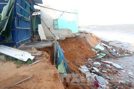 Biển xâm thực đánh sập 11 căn nhà tại Bình Thuận