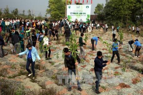 “Tết trồng cây” phải thiết thực, hiệu quả