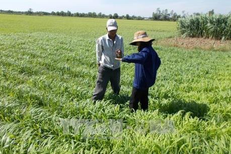 Bến Tre và TP.HCM chú trọng phát triển nông nghiệp gắn với chuyển giao công nghệ