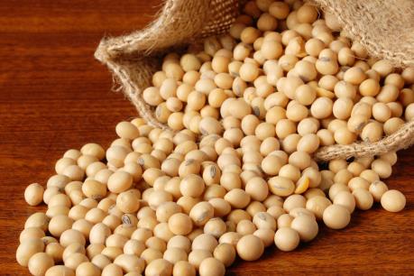 Trung Quốc thắt chặt tiêu chuẩn quy định đối với đậu tương nhập khẩu từ Mỹ​