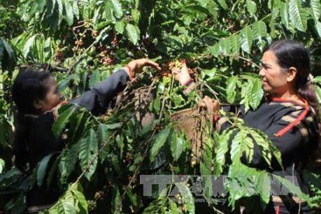 Các tỉnh Tây Nguyên thu hút vốn đầu tư tăng gấp đôi năm trước