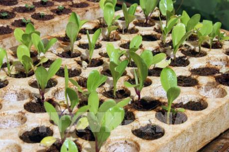 Phát động cuộc thi khởi nghiệp VietNam Startup Wheel năm 2018