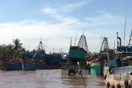 Bình Thuận cấm tàu, thuyền ra khơi từ 10 giờ ngày 3/1 tránh bão số 1