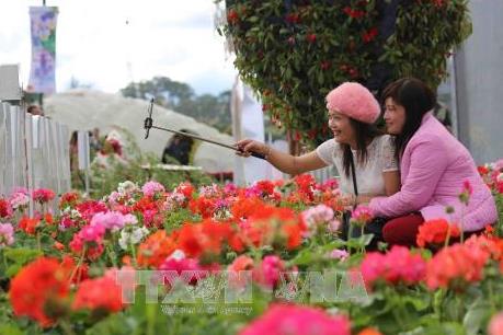 Khai mạc Festival “Hoa Đà Lạt - Kết tinh kỳ diệu từ đất lành”