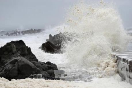 Bộ Tư lệnh Quân khu 9 thành lập Sở Chỉ huy phía trước ứng phó với bão số 16 tại Trà Vinh