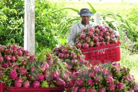 Doanh nghiệp Trung Quốc quan tâm đến nông sản Việt