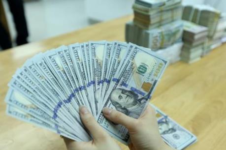 Tỷ giá USD hôm nay 5/4