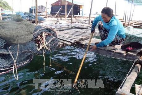 Hỗ trợ người dân gia cố lồng bè nuôi cá ứng phó mưa bão số 16