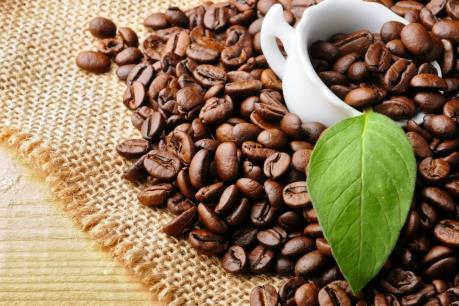 Dự báo giá cà phê tuần từ 25/12 - 31/12