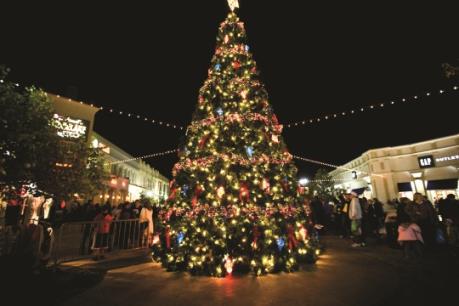 Cây thông Giáng sinh đặc biệt nhất thế giới