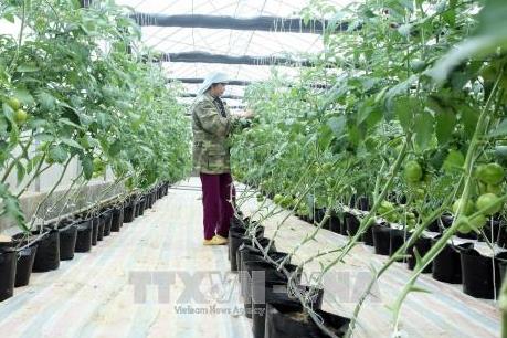 Phê duyệt điều chỉnh Quy hoạch tổng thể phát triển kinh tế - xã hội tỉnh Bắc Kạn