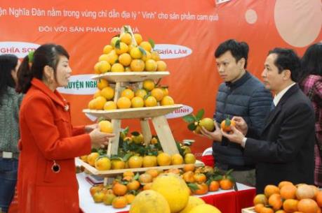Khai mạc Hội chợ Cam Vinh - Nghệ An năm 2017