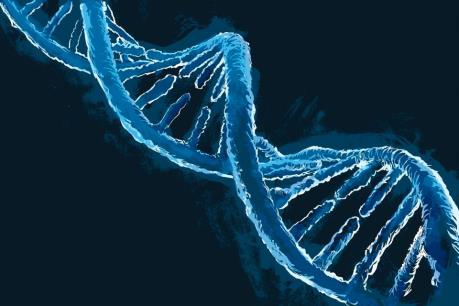 Liệu pháp gien sử dụng tế bào gốc tạo máu trong điều trị HIV/AIDS