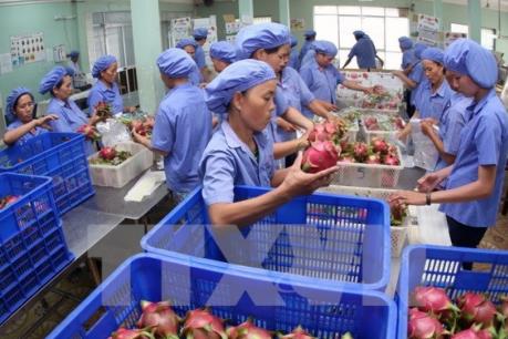 Kỷ lục mới của xuất khẩu nông, lâm nghiệp và thủy sản