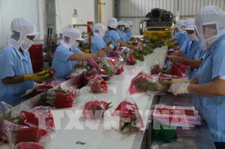 Xuất khẩu nông lâm thủy sản 2 tháng đầu năm tăng hơn 30%